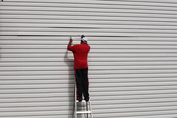 Best Engineered Wood Siding  in Fyffe, AL