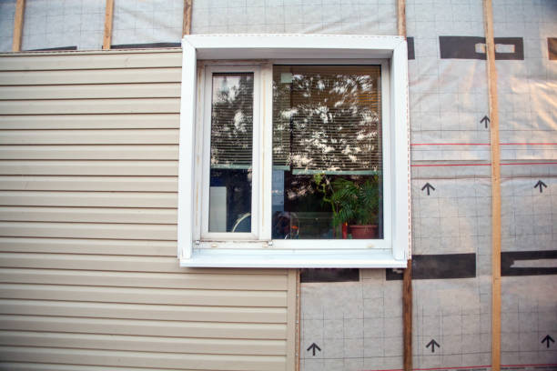 Best Stucco Siding  in Fyffe, AL
