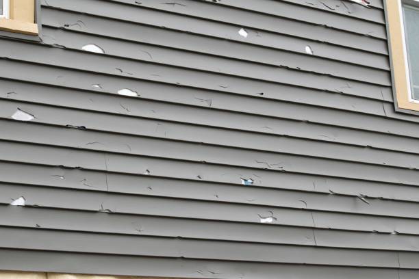 Best Brick Veneer Siding  in Fyffe, AL