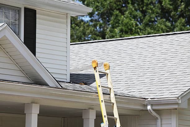 Best Residential Vinyl Siding Installation  in Fyffe, AL