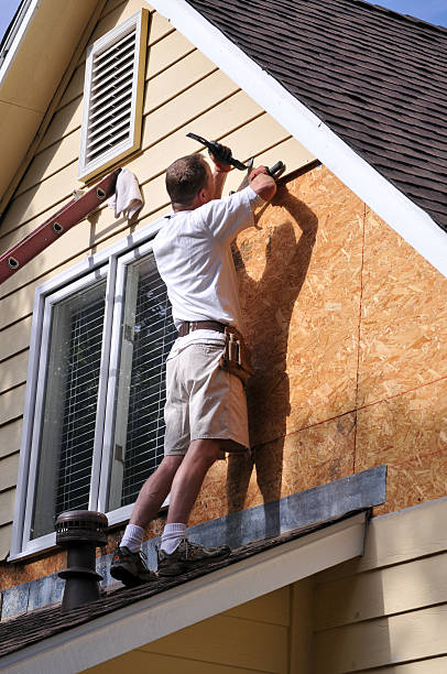 Best Siding Removal and Disposal  in Fyffe, AL